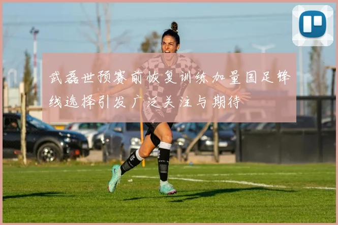 武磊世预赛前恢复训练加量国足锋线选择引发广泛关注与期待